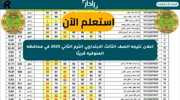 إعلان نتيجة الصف الثالث الابتدائي الترم الثاني 2025 في محافظة المنوفية قريبًا